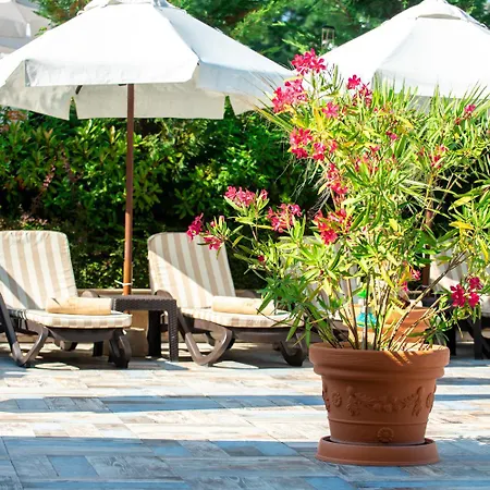 Hotel Siena Palace