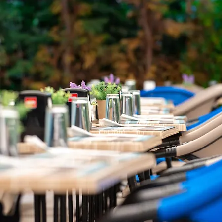 Siena Palace 酒店 4*