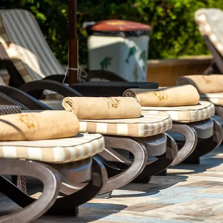 酒店 Siena Palace 4*