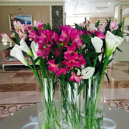 Siena Palace 普里莫尔斯科